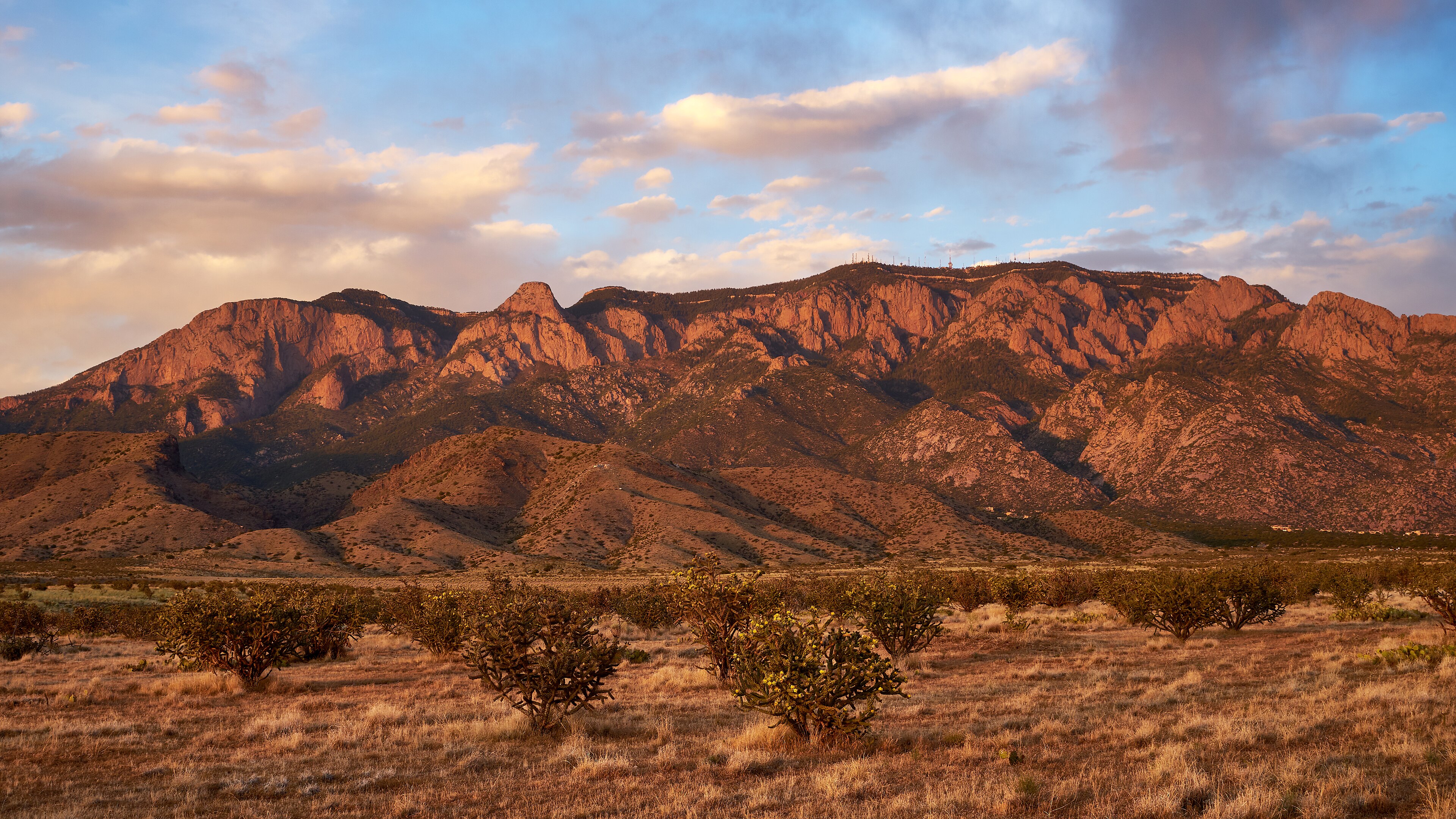 This week's Albuquerque hike: Sandia Foothills suggested hike